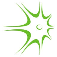 Synapsa Networks