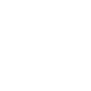 Synergy Health