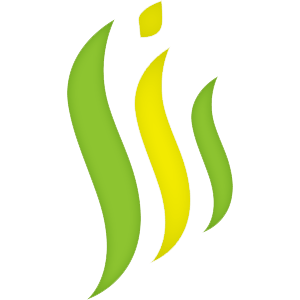 Synergy Information Systems
