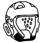 TaekwondoJang