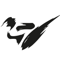 Taekwondo Kicks Training