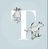TAME Pet App