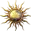 TarotYesOrNo