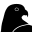 TaskFalcon
