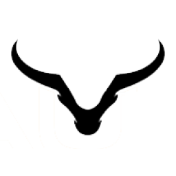 Taurus One
