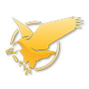 Team Eagle