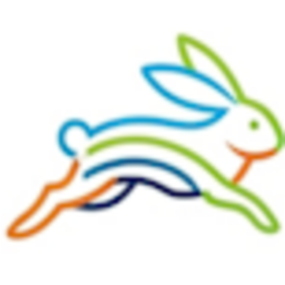 Team Rabbit