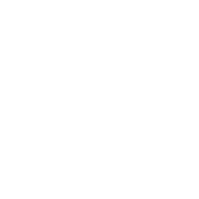 T.E.G. Solution