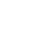 Telera