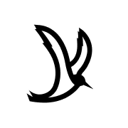 Tern