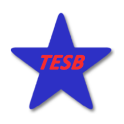 Top Star Electronic (Sabah) Sdn. Bhd.