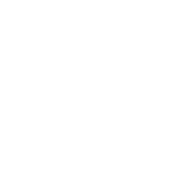 Tes
