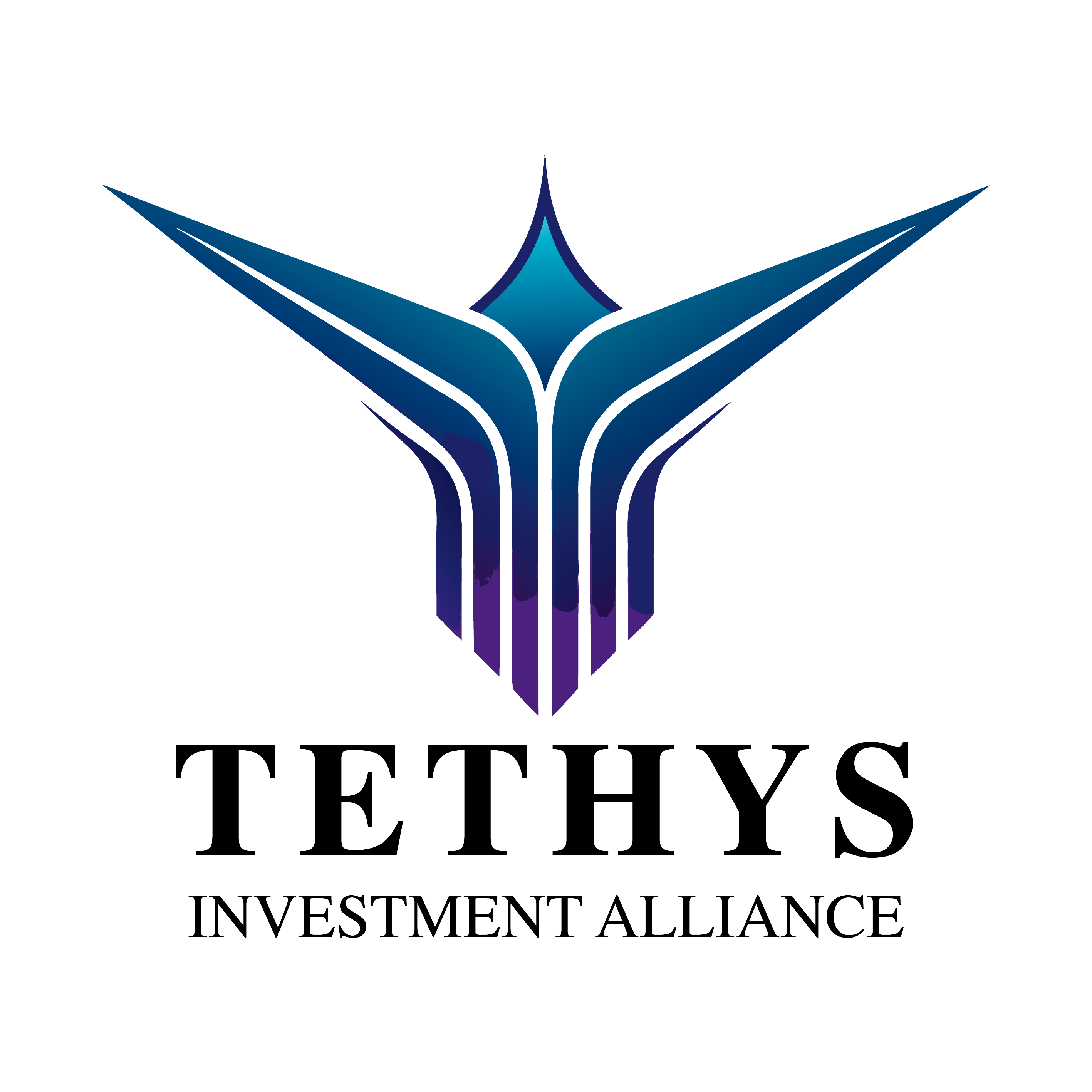 Tethys Investment Alliance
