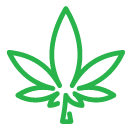 Green Health Docs