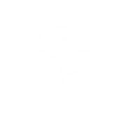 The Secret Society
