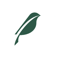 The Birding Game