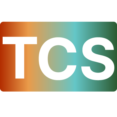 The Construction Standard
