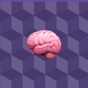 The Design Quiz
