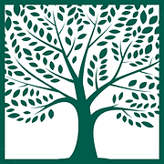 The Green Box