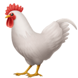 The Hen