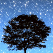 The History Tree