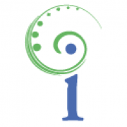 The Intelligent Option