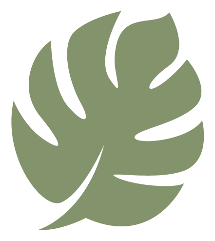 The Monstera