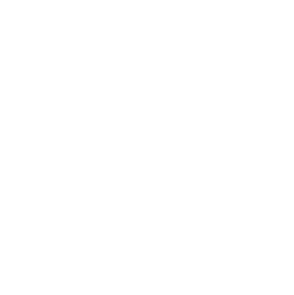 Origin AI