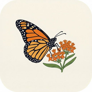 Pollinator Patch