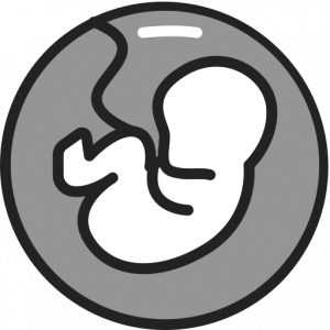 The Pregnancy Calculator
