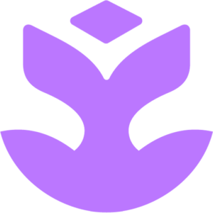 Therapy Practice Accelerator