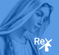 Rosary Experience