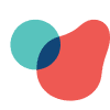The Safe AI