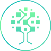 The Trading Forest