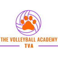 The Volleyball Academy