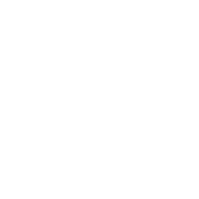 The Venue Collective