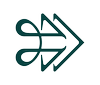 Trans Health HQ