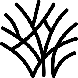 Thicket