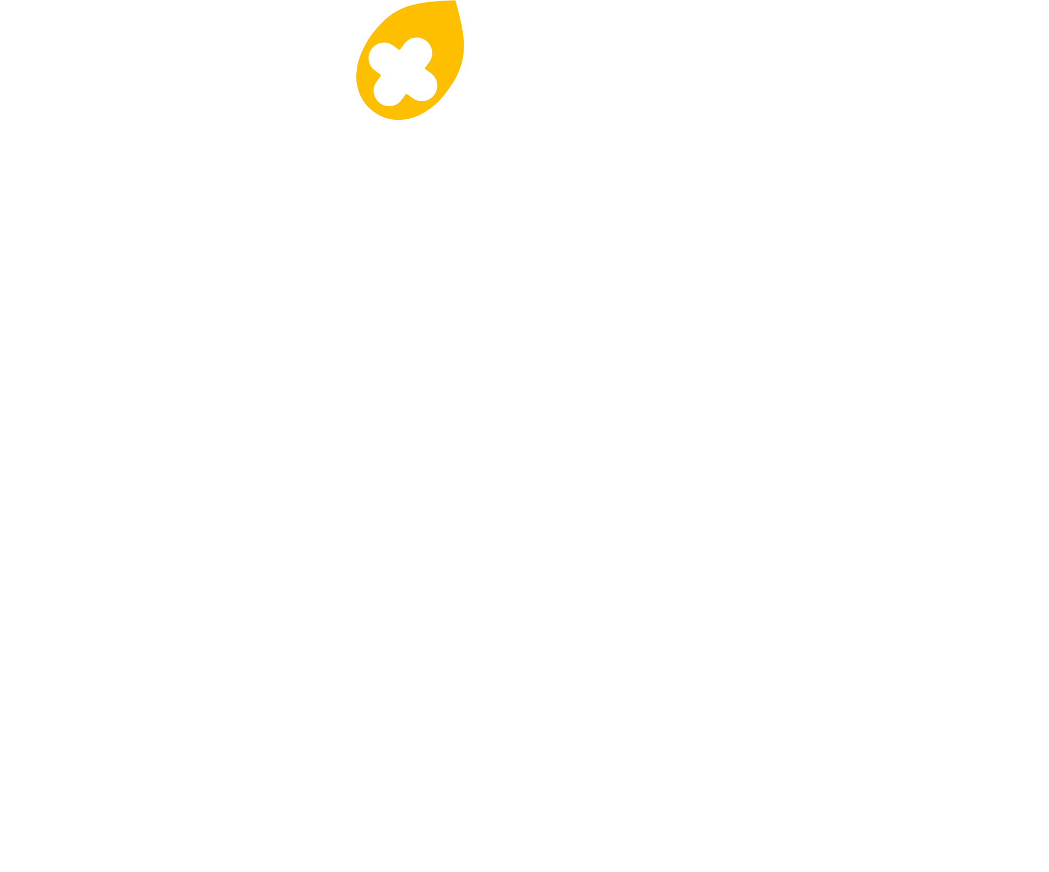 TIB