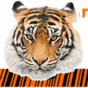 TigerPOS