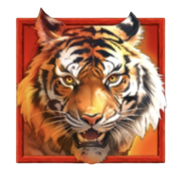 Tiger’s Luck
