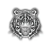 Tiger Tracking