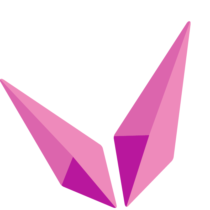 Timerabbit