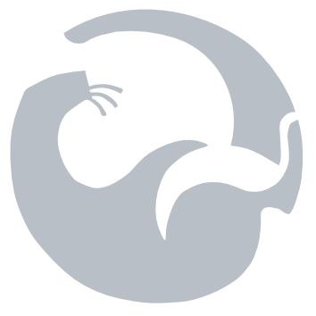 Happy Otter Scripts