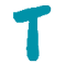 Tourleader