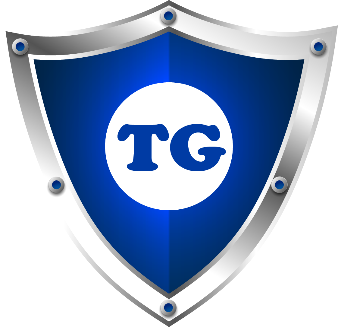 Traffic Guardian