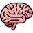 Train The Brain