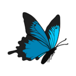 Transform My Document