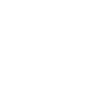 TransVoyant