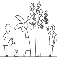 Tree Diversity